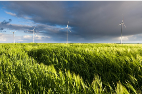 【专家观点】佟继良：低碳、能源效率、经济性和安全性是选择能源转型技术路线的四项基本原则