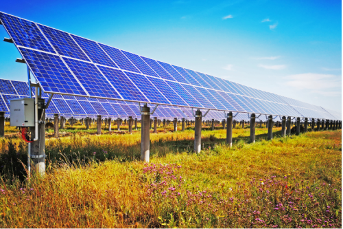 九洲集团：创新引领企业高质量发展，2022年一季度实现“开门红?”